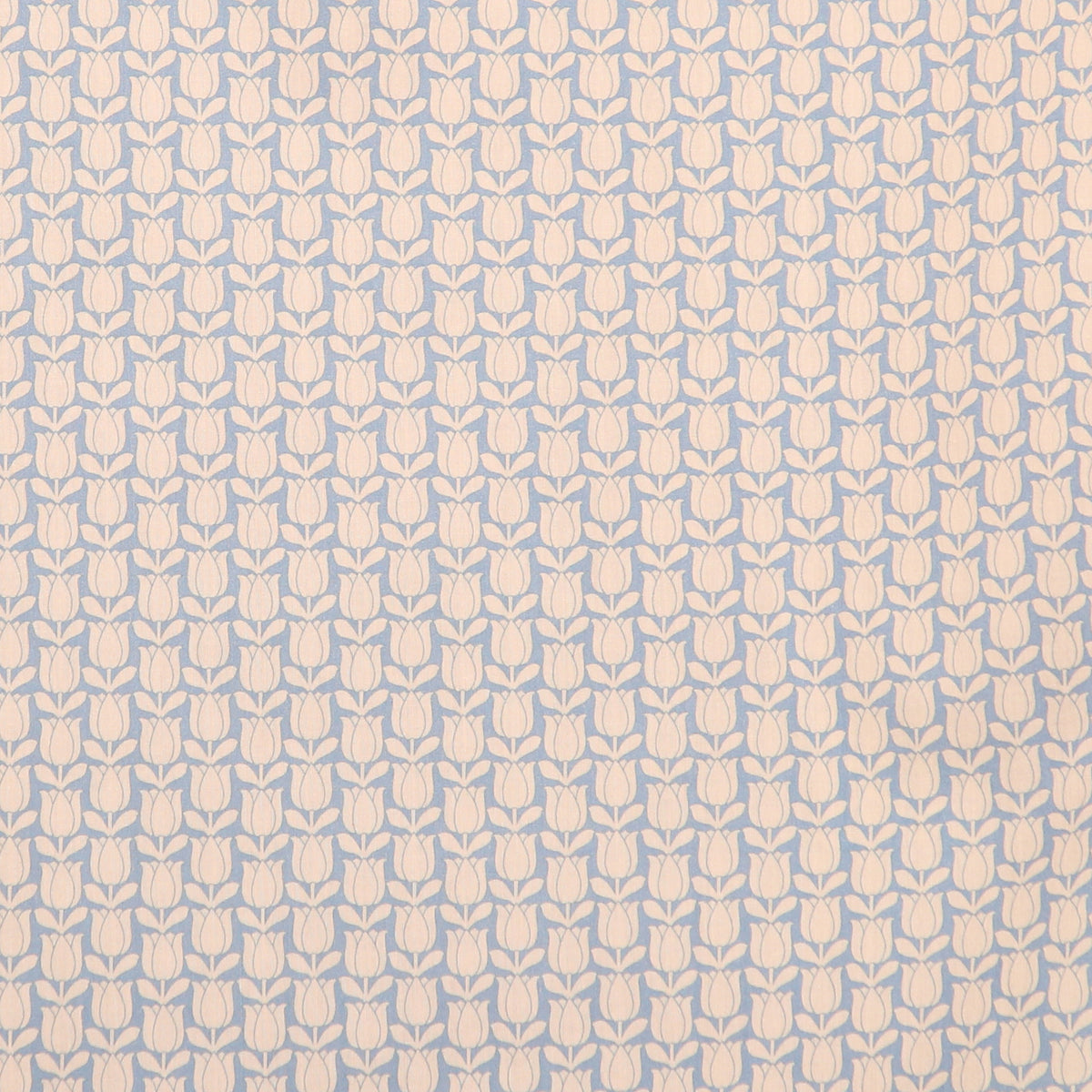 LIBERTYスタンダードレギュラーシャツ